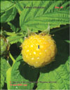 Малина жёлтая (Rubus ellipticus)